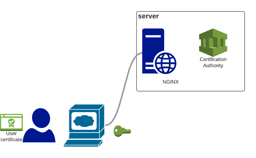 Nginx Client Certificate Authentication