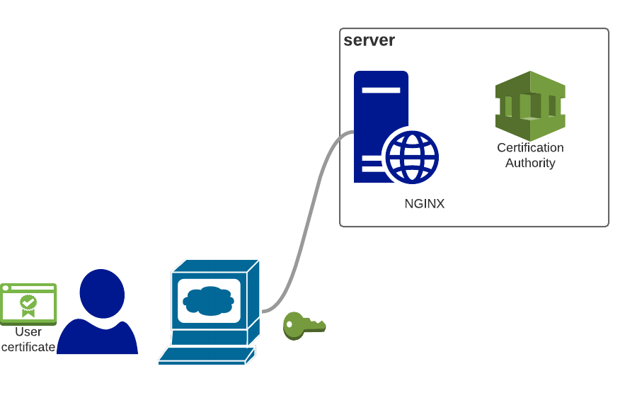 Nginx ssl certificate. Сертификат на сервер. Сертификация серверов интернет. Сервера сертифицированные. Nginx client Certificate authentication.